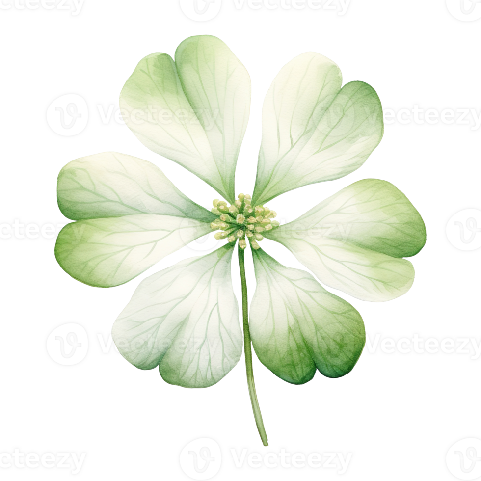 AI generated Clover Leaf Illustration png