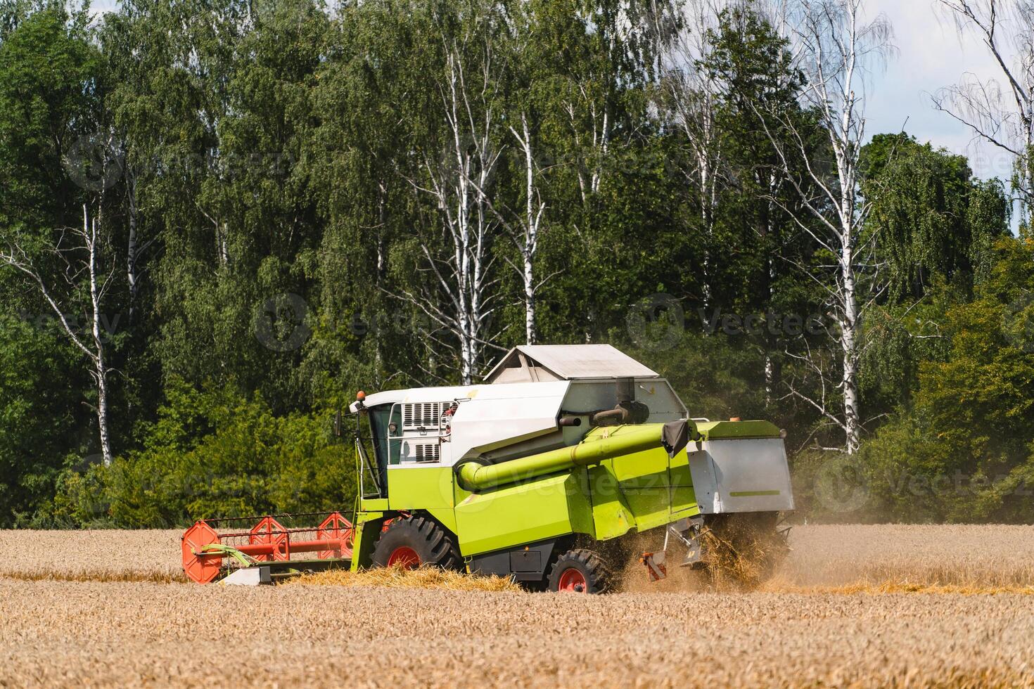 combine harvester working on a wheat field photo