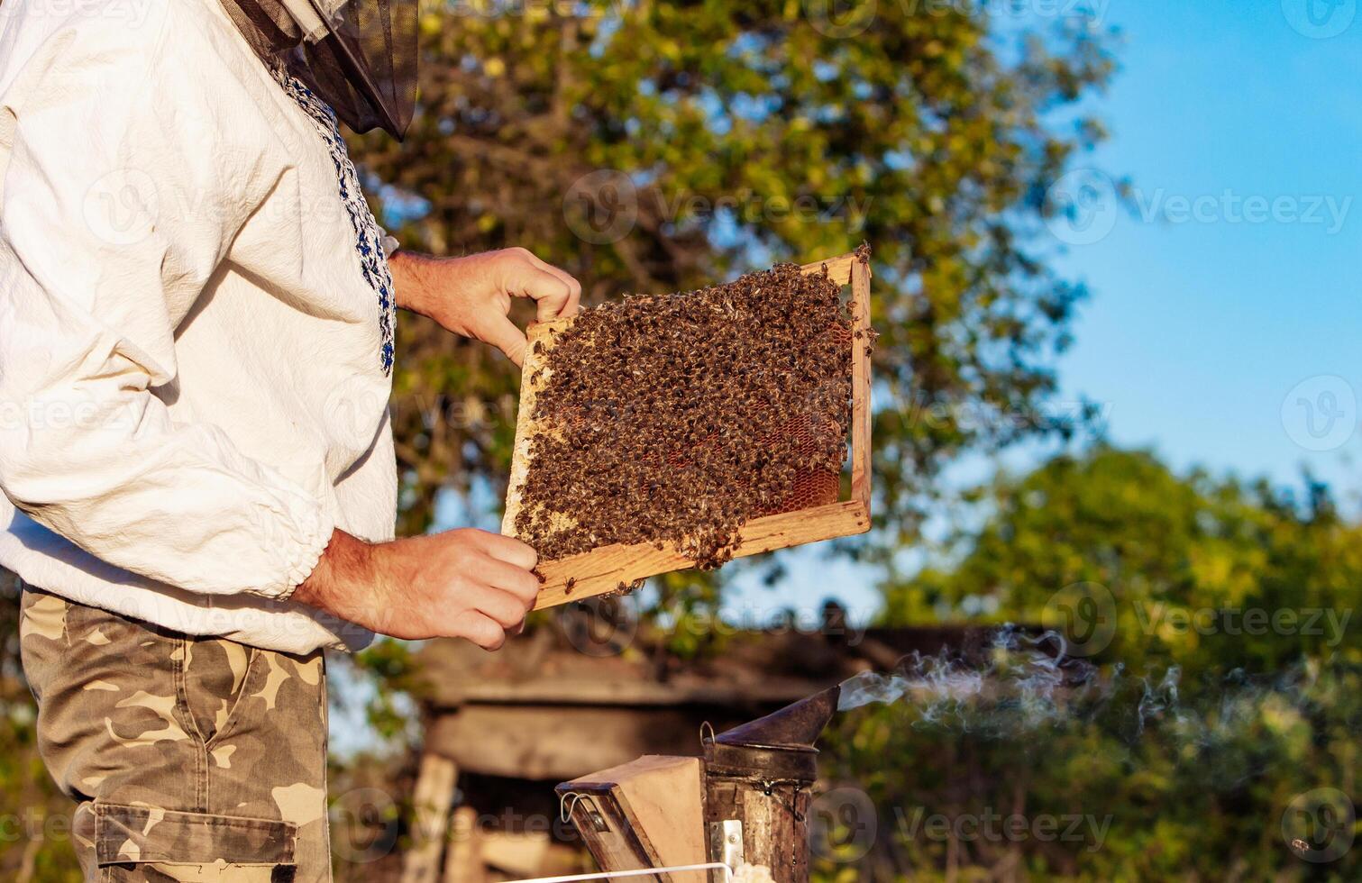 hands of man shows a wooden frame with honeycombs on the background of green grass in the garden photo