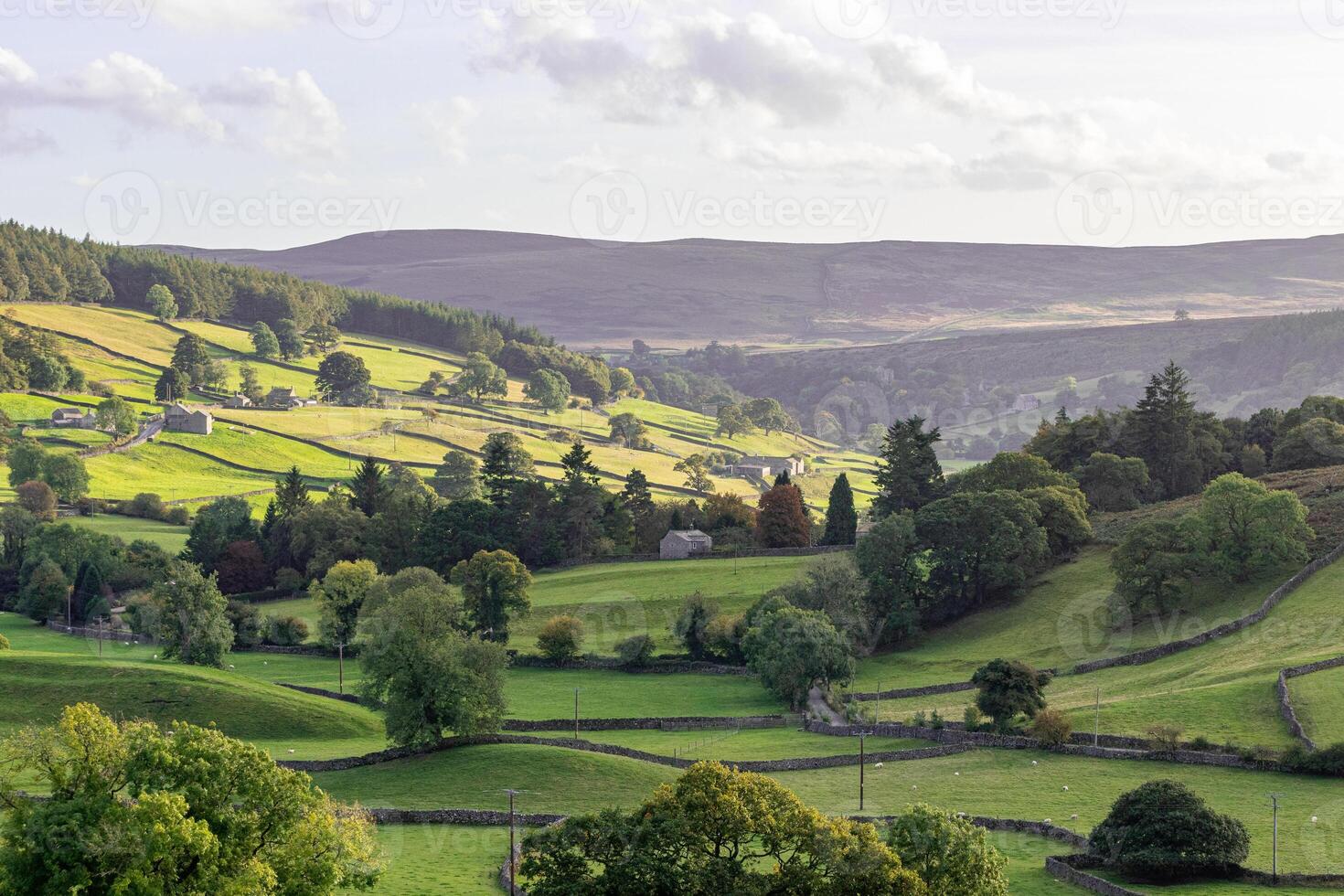 Rolling green hills with patchwork fields under a soft sky, showcasing rural beauty and tranquil landscapes in Yorkshire Dales. photo