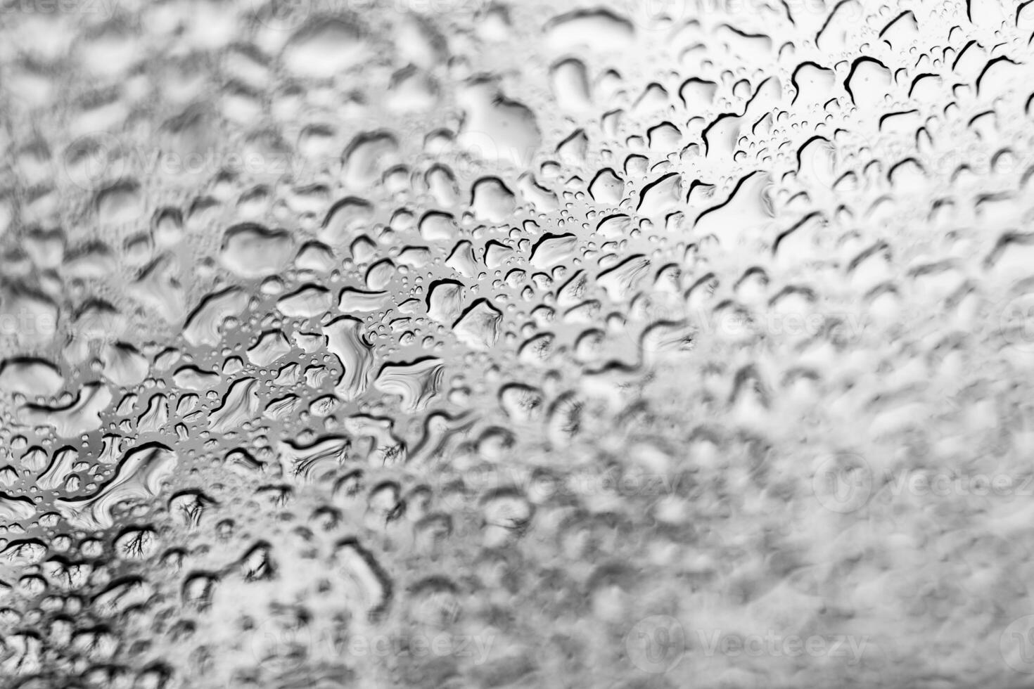 White clear rain drops on window glasses surface with grey background. Natural pattern of drops isolated on cloudy background. Close-up photo