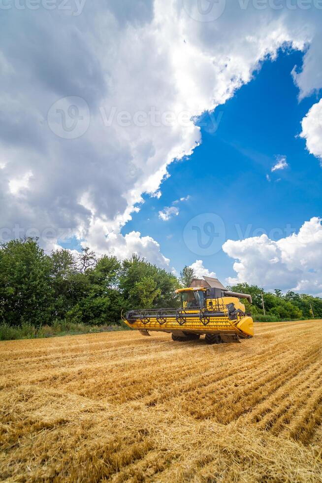 Yellow combine harvester working at field. Agricultural machine on blue sky. photo
