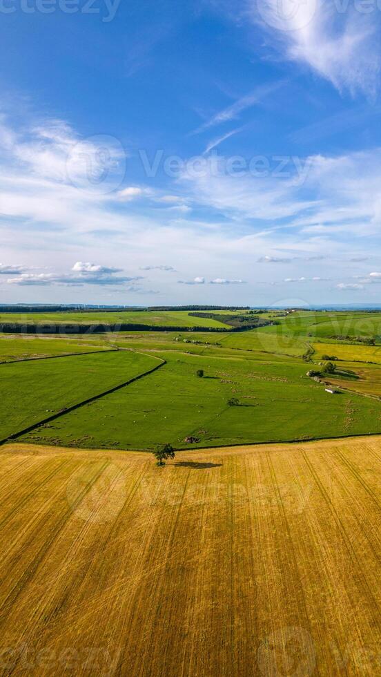 Aerial view of lush green farmland with clear blue sky and wispy clouds. photo