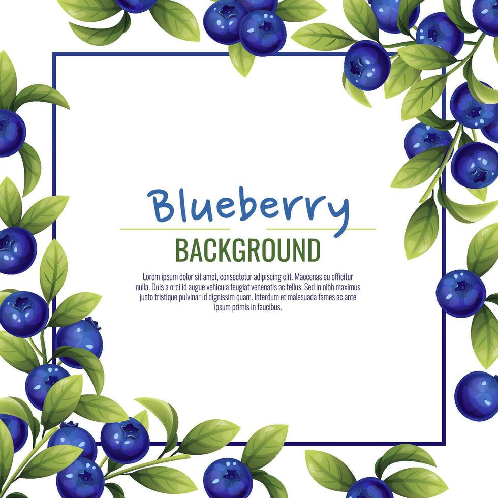 Card design with blueberries and green leaves. Frame, background with wild berries. vector