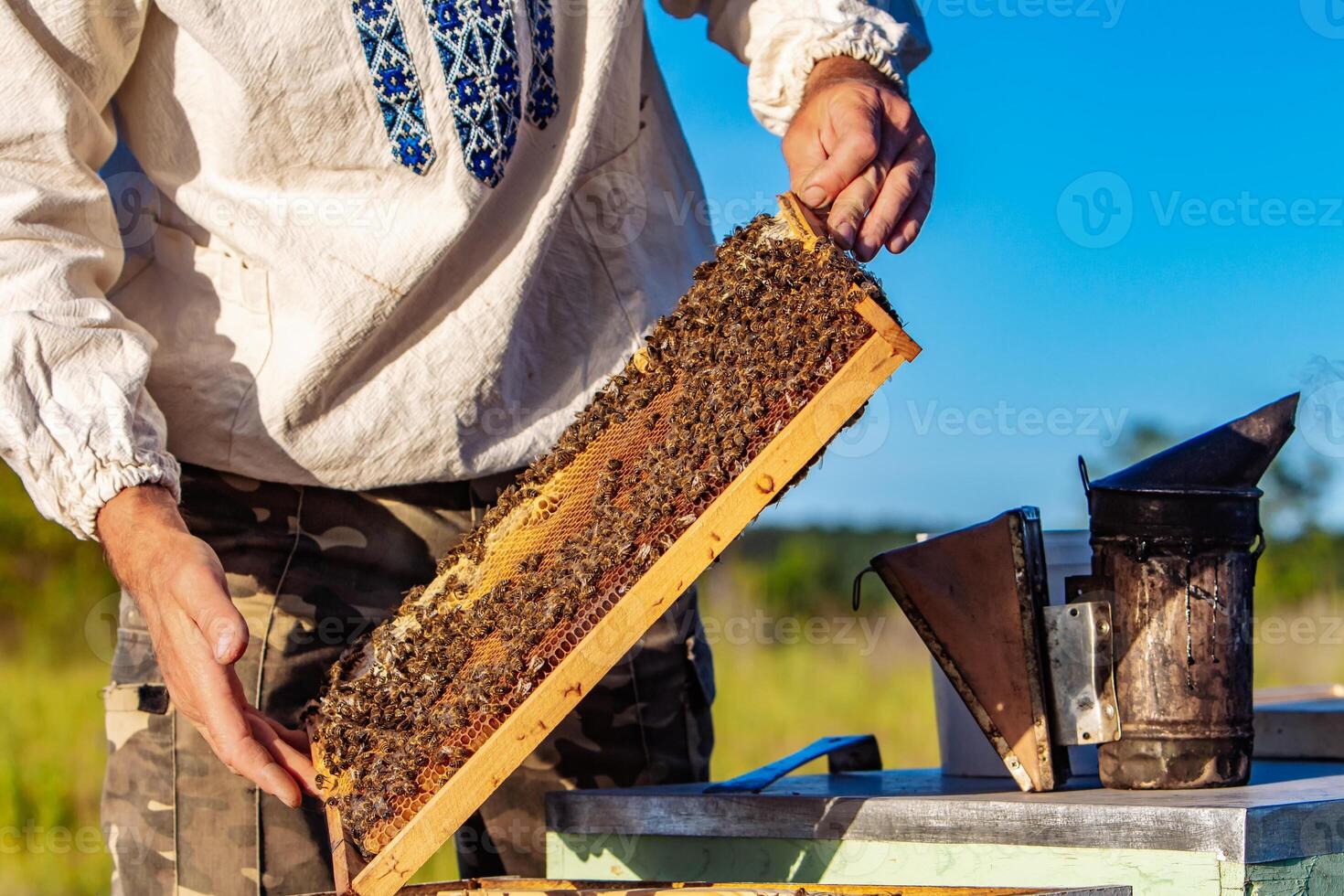 el apicultor está trabajando con abejas y colmenas en el colmenar. foto