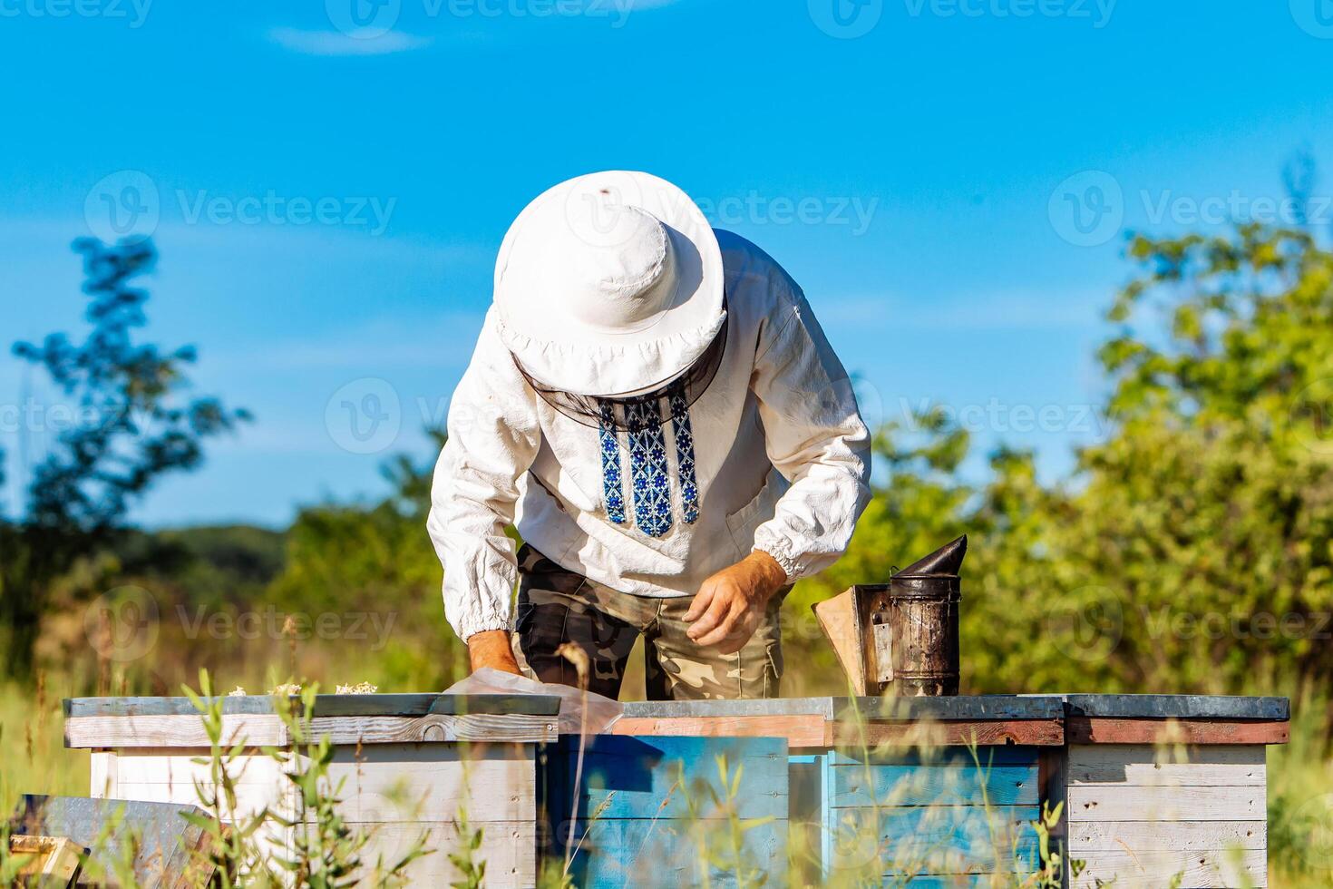 Beekeeper is working with bees and beehives on the apiary. Beekeeper on apiary. photo