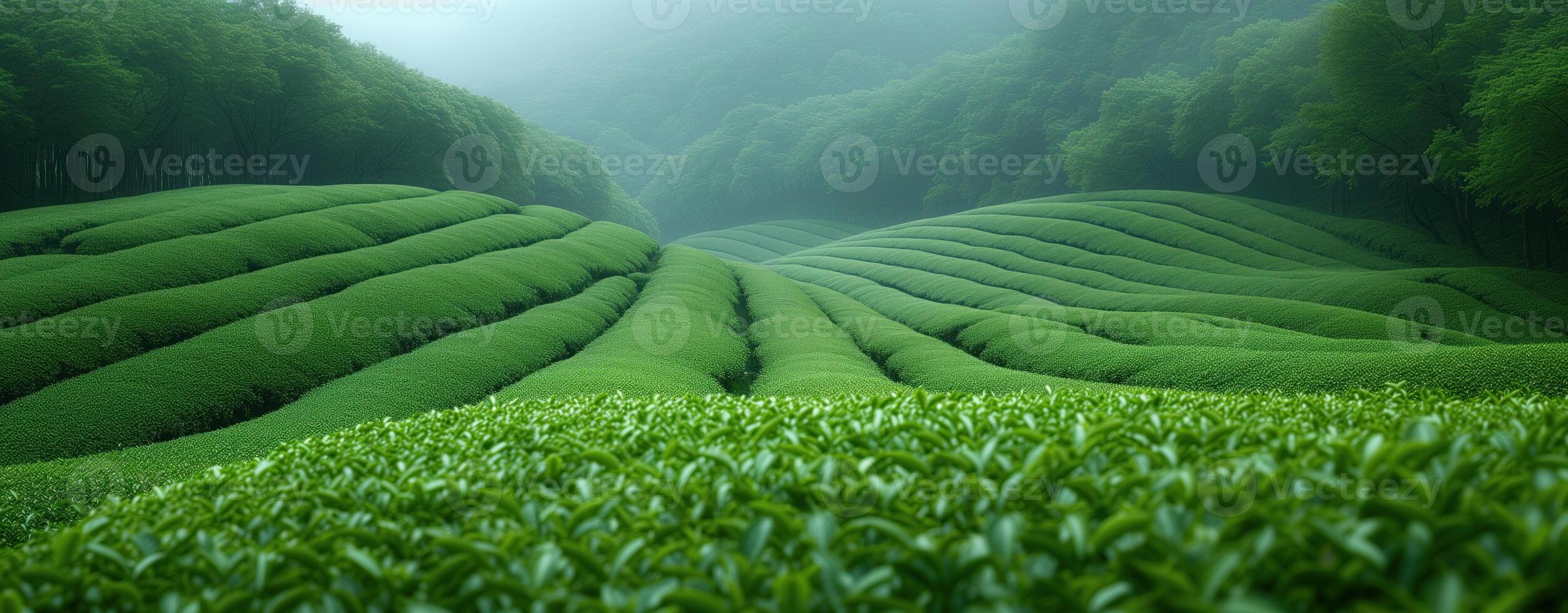 ai generado té plantación verde paisaje en el montañas foto