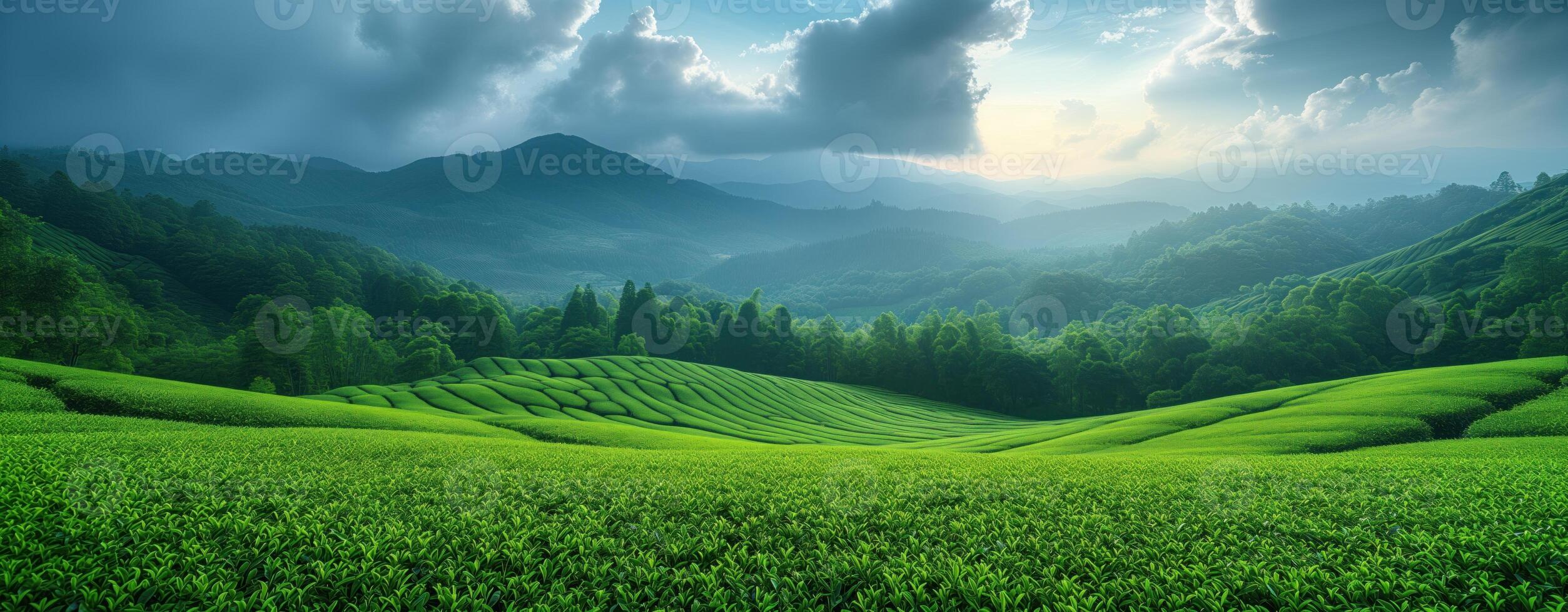 ai generado té plantación verde paisaje en el montañas foto