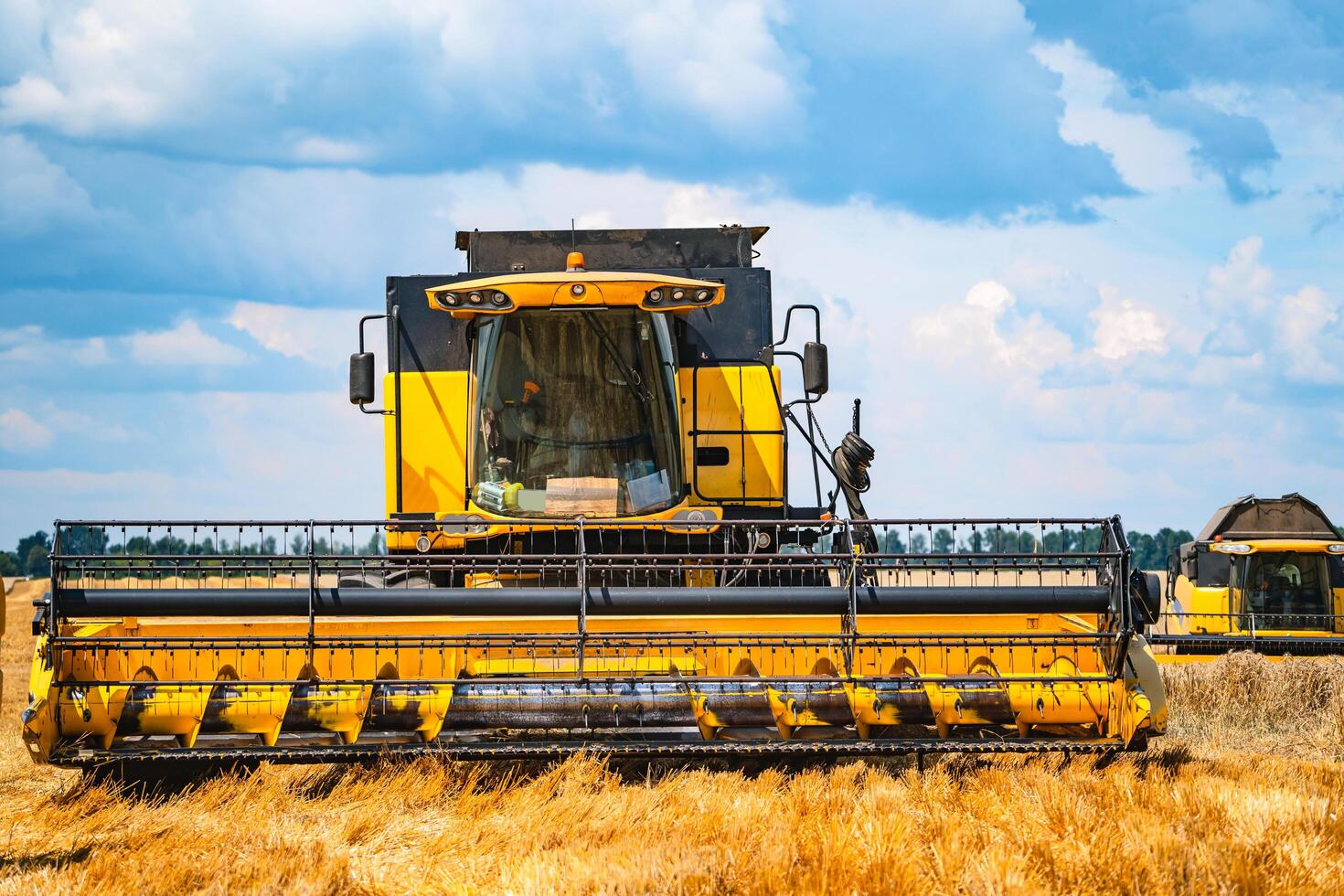 Harvester machine harvesting in wheat field. Combine harvester agriculture machine harvesting golden ripe wheat field. Agriculture photo