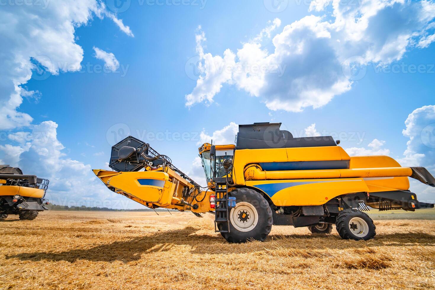 Ripe crop panorama. Cereal gathering. Heavy machinery, blue sky above field. photo