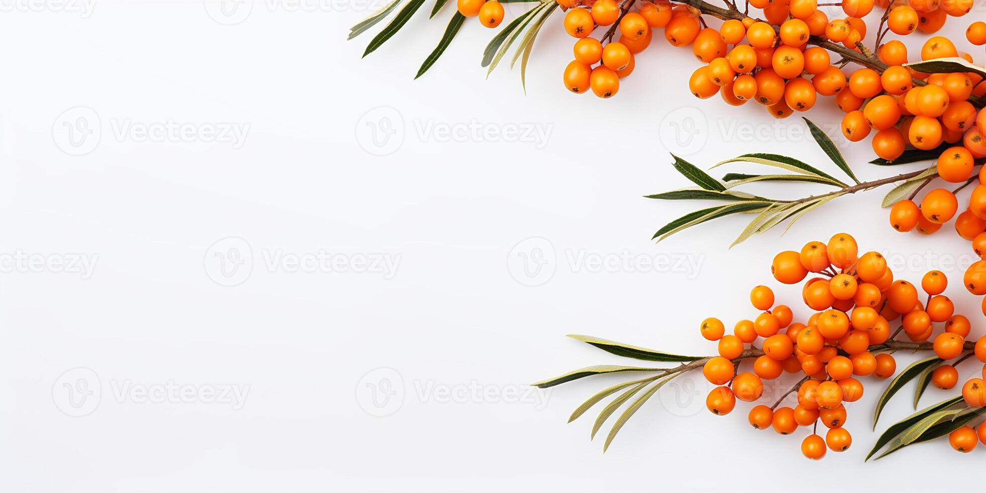 AI generated Frame with fresh sea buckthorn on a white background with space for text photo