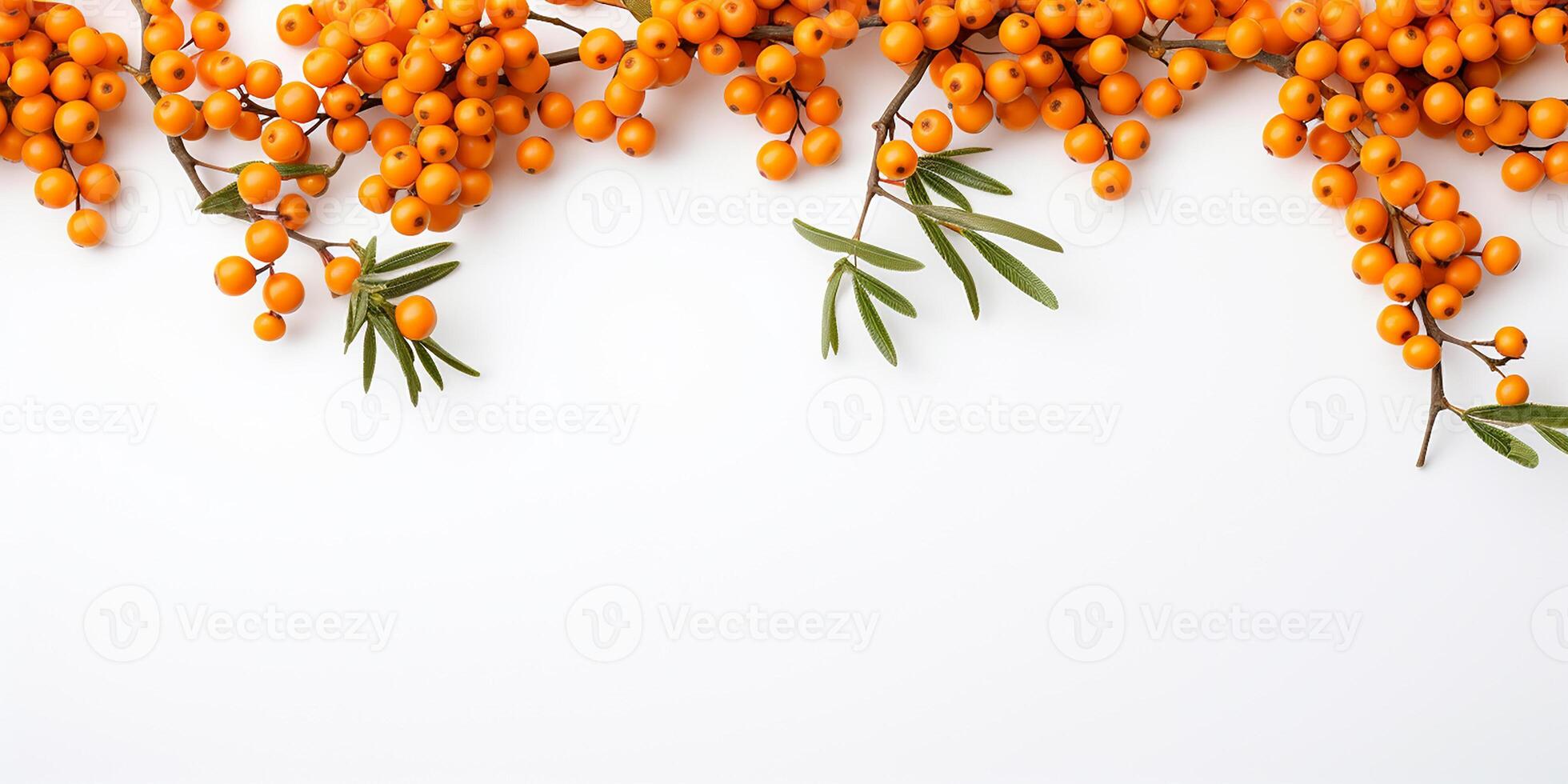 AI generated Frame with fresh sea buckthorn on a white background with space for text photo