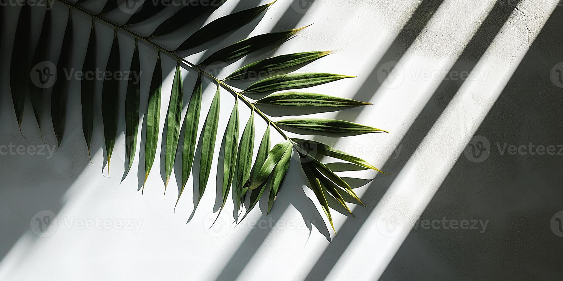 AI generated Green tropical palm leaf on isolated pastel background. Space for text photo
