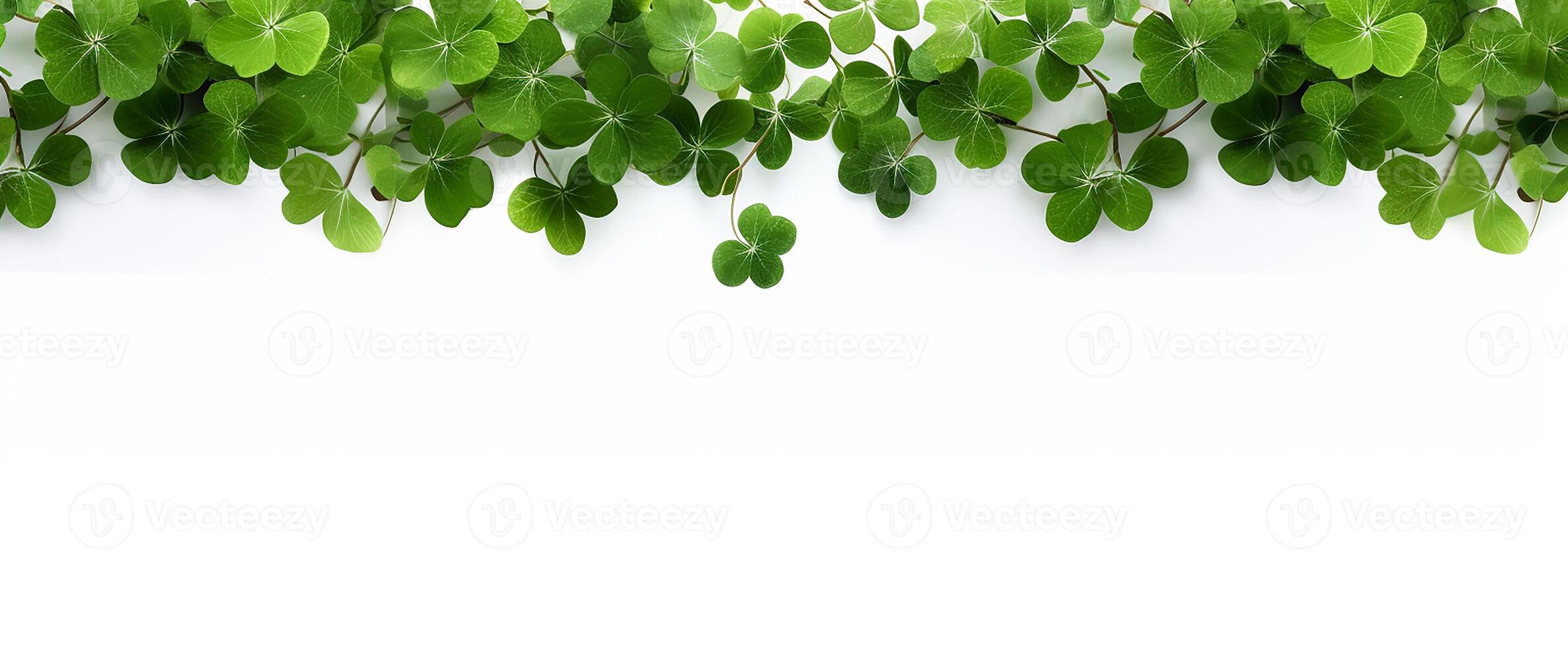 AI generated border with four-leaf clover on a white background. St.Patrick 's Day photo