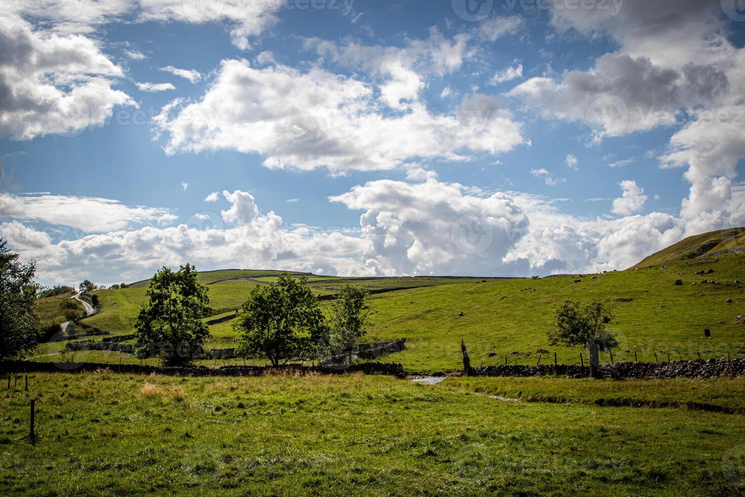 Idyllic countryside landscape with lush green fields, trees, and a clear blue sky with fluffy clouds. photo