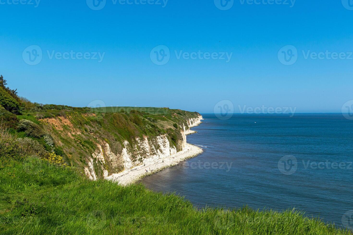 Scenic view of white chalk cliffs and green coastline against a clear blue sky. photo