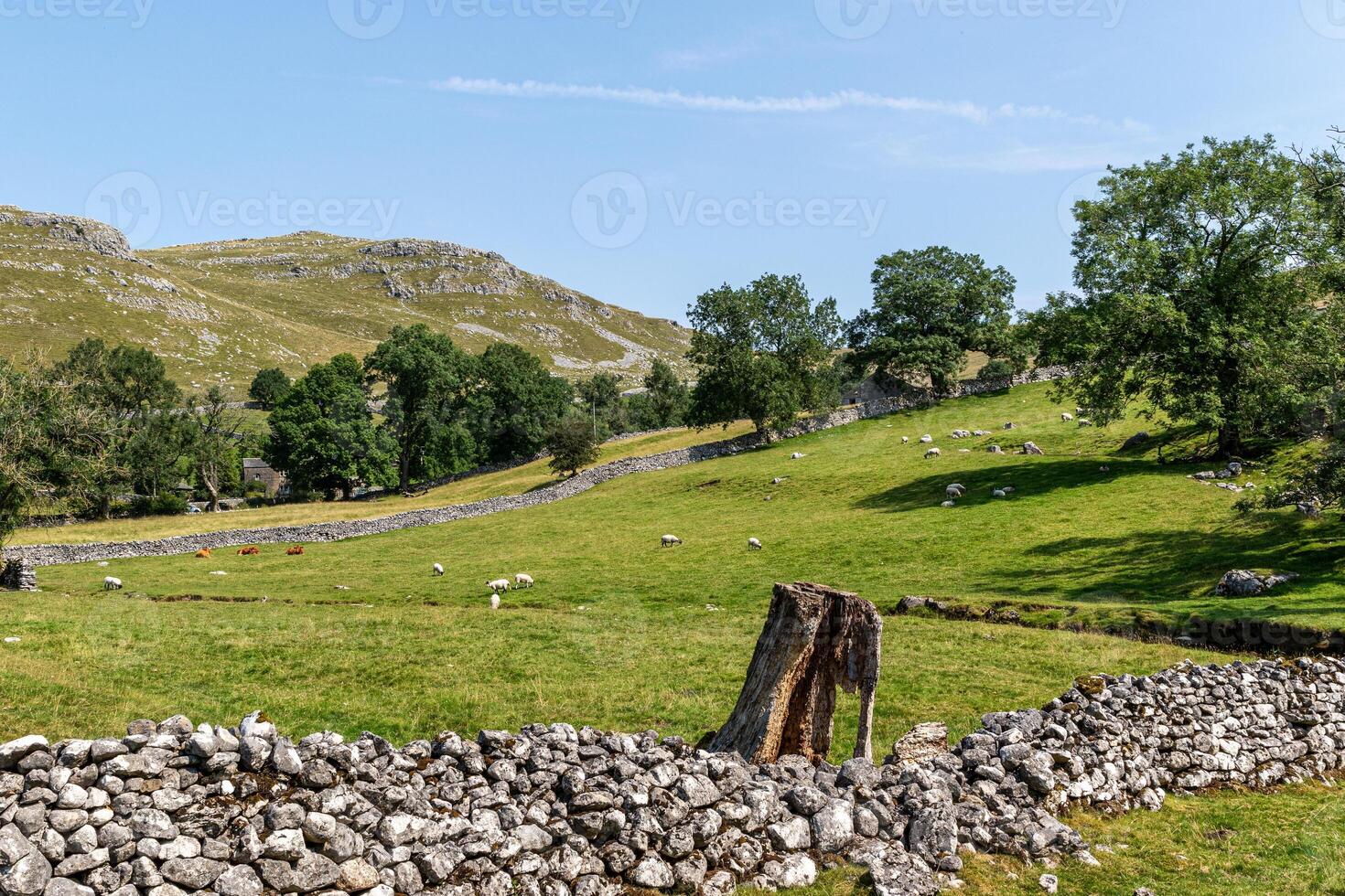 Idyllic rural landscape with stone walls, grazing sheep, and rolling hills under a clear blue sky. photo