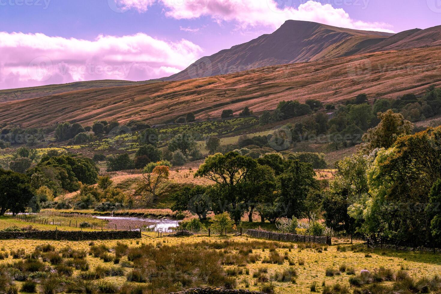 Scenic view of rolling hills with lush greenery under a clear sky, featuring a quaint farmhouse nestled in the countryside. photo