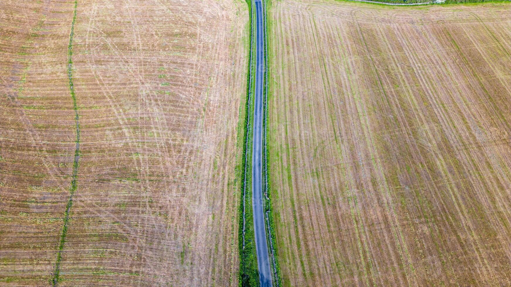 Aerial view of a rural landscape with a narrow road dividing agricultural fields. photo