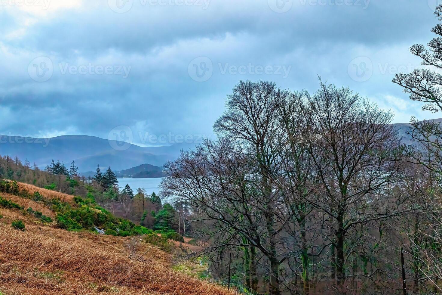 Scenic view of a tranquil lake with distant mountains and overcast sky, framed by autumnal trees and shrubs. photo