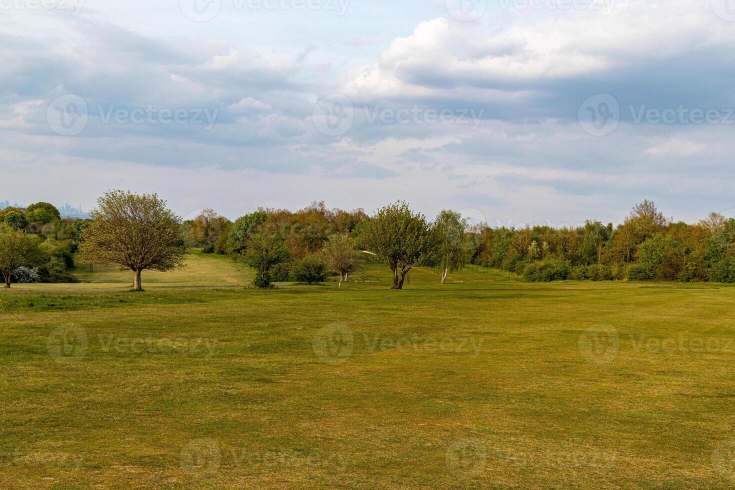 Tranquil landscape of a green park with scattered trees under a blue sky with soft clouds. photo