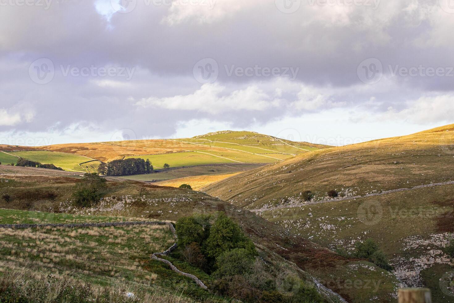 Rolling hills with golden sunlight on rural landscape, scattered trees and cloudy sky in Yorkshire Dales. photo