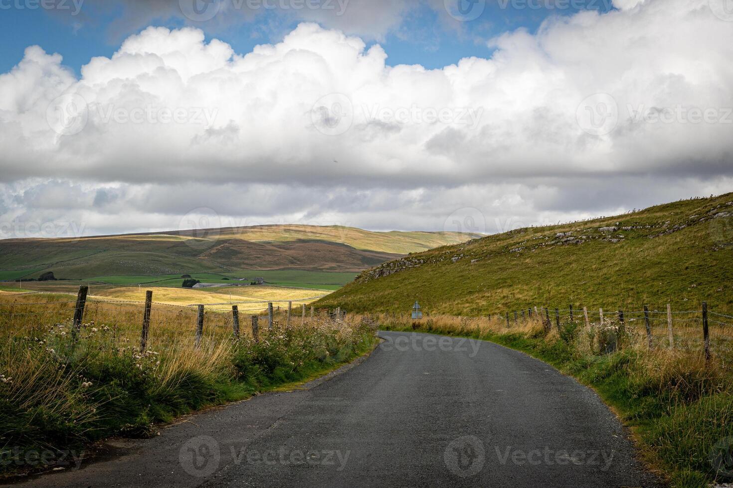 Rural road leading through rolling hills under a cloudy sky, with green fields and wooden fence on the side. photo