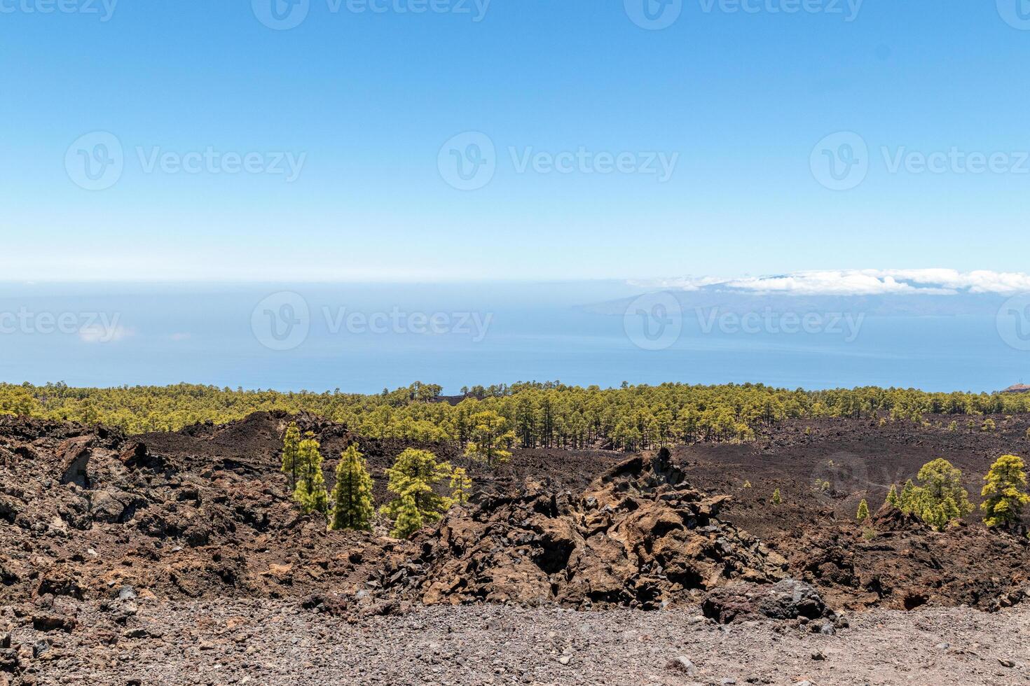 Volcanic landscape with rocky terrain in the foreground and a clear blue sky over the ocean in the background in Tenerife. photo