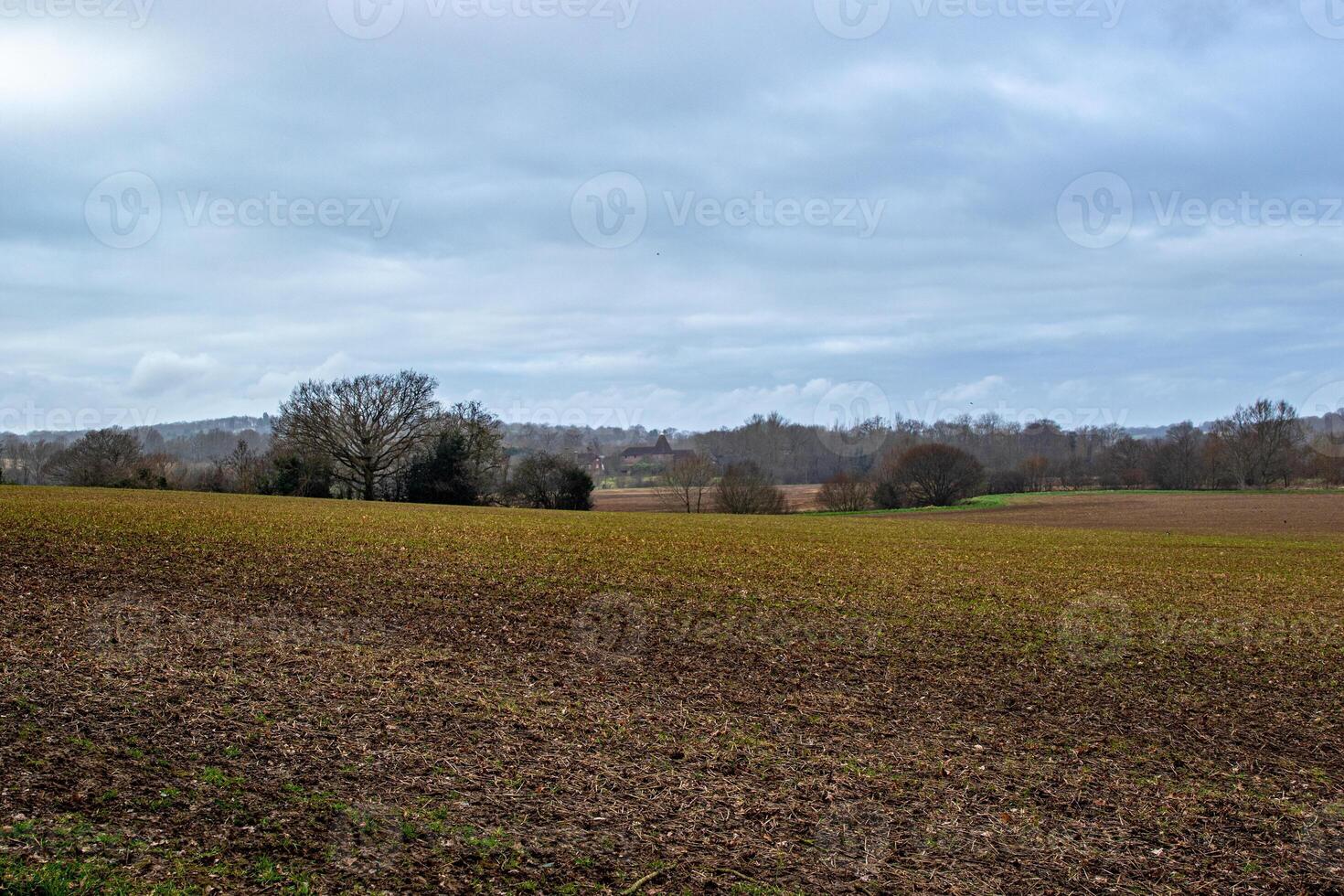 arado tierras de cultivo con un nublado cielo y distante árboles, representando rural tranquilidad. foto