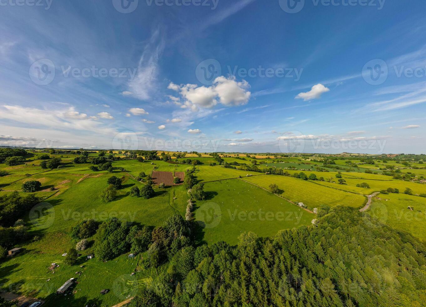Aerial view of lush green countryside with scattered trees under a blue sky with fluffy clouds. photo