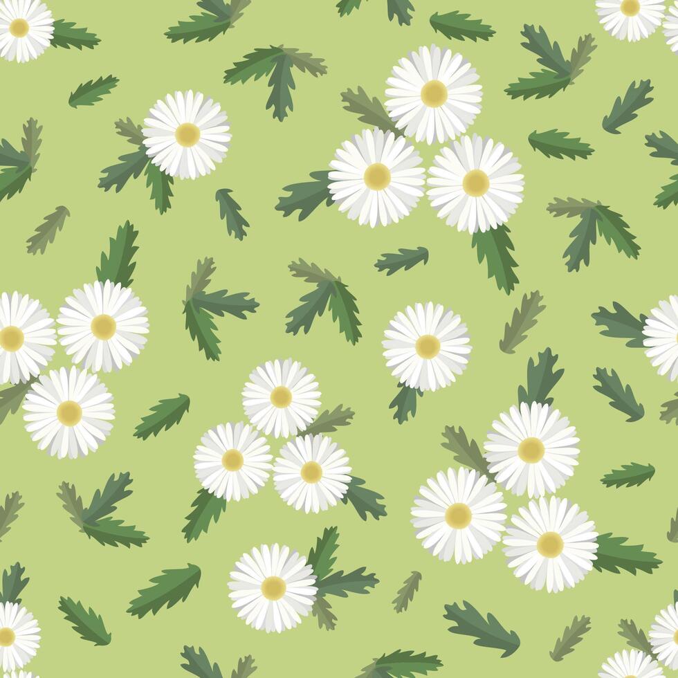 Seamless pattern of daisies and leaves on green background. Chamomile blooming in the grass vector