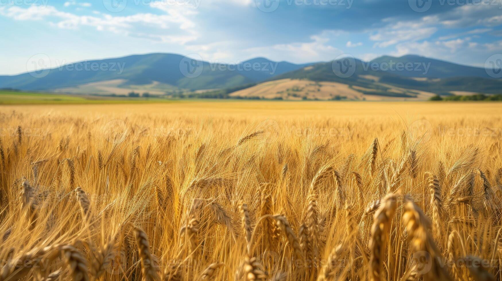 AI generated Endless fields of ripe wheat with mountains in the backdrop, a scenic rural landscape. Ai Generated. photo