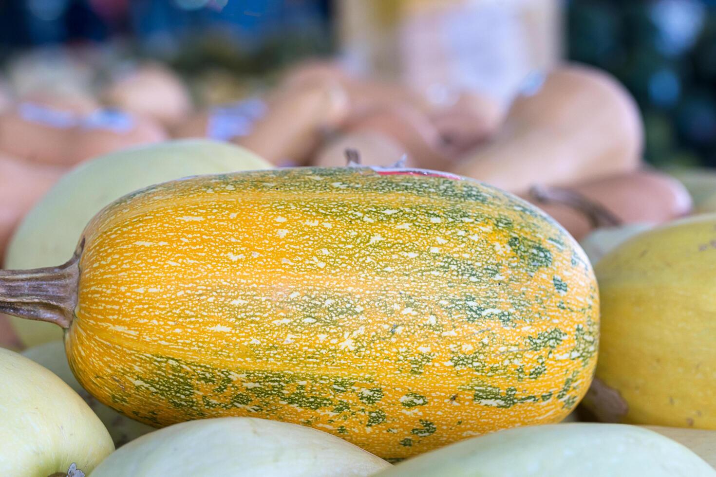 Bunch of orange pumpkins for sale photo