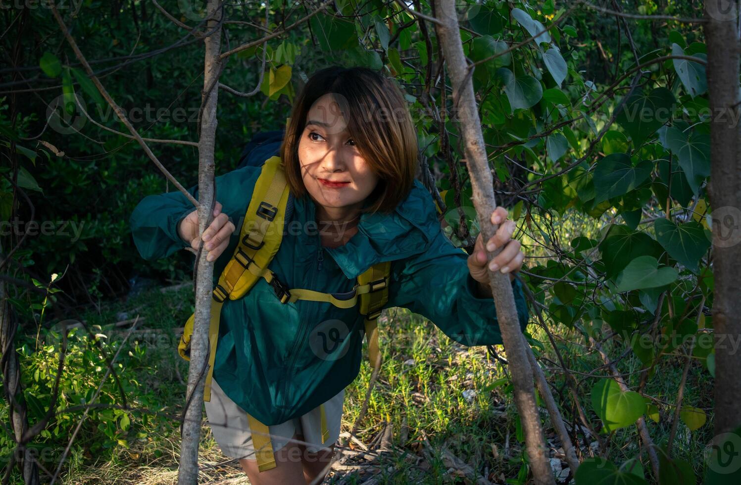 Asian woman backpack yellow and wearing jacket green traveling alone in the forest and happy hiking in the woods vacation trip,lifestyle concepts. photo