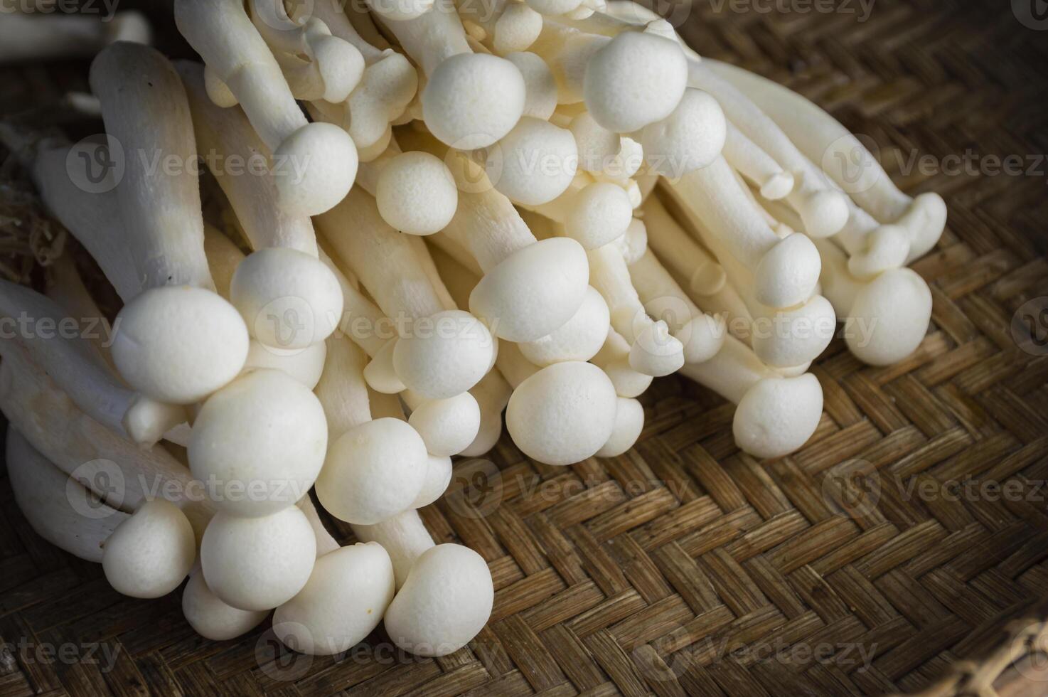 a basket full of white mushrooms photo