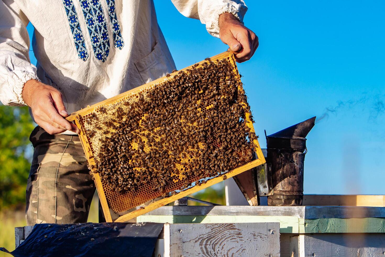 Wooden frames with honey in bee hive. Yellow summer beekeeping. photo