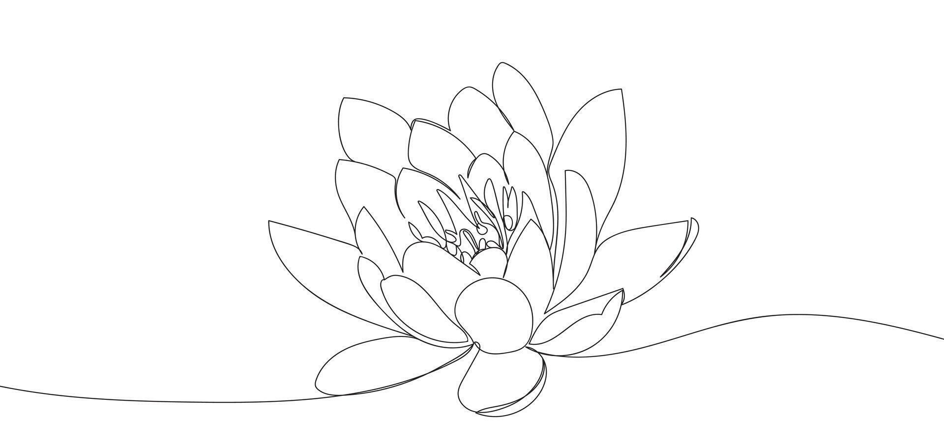 Lotus flower in single continuous line drawing style for logo or emblem. Lotus line art, outline vector