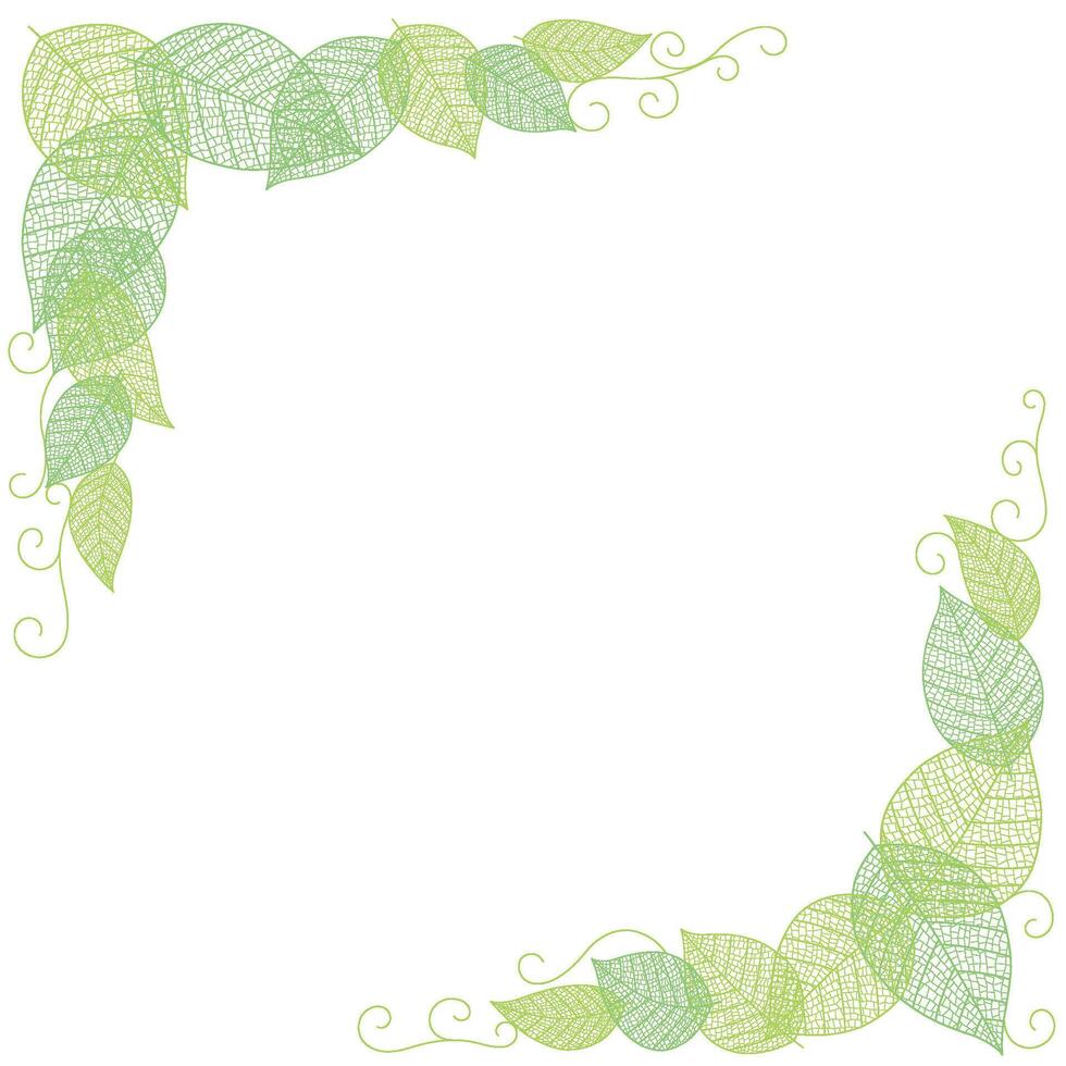 Vector Frame Illustration With Leaf Veins Silhouette Pattern Isolated On A White Background.