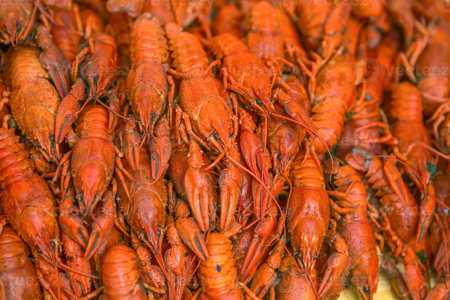 Fresh red boiled crawfish. Cooked crayfish with dill. Beer snack. Crayfish to beer. photo