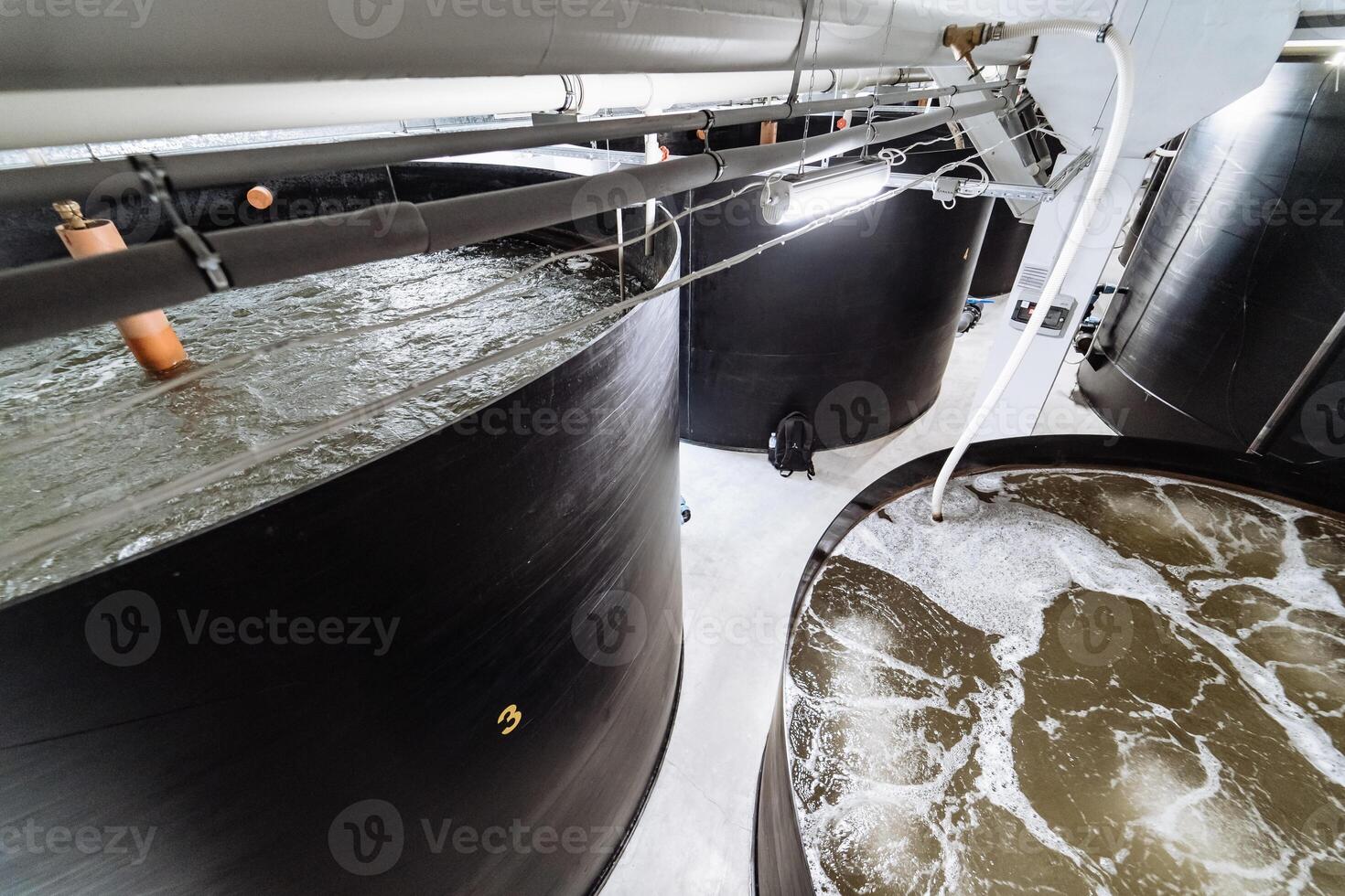 Shrimp breeding farm. Inside a shrimp farm photo