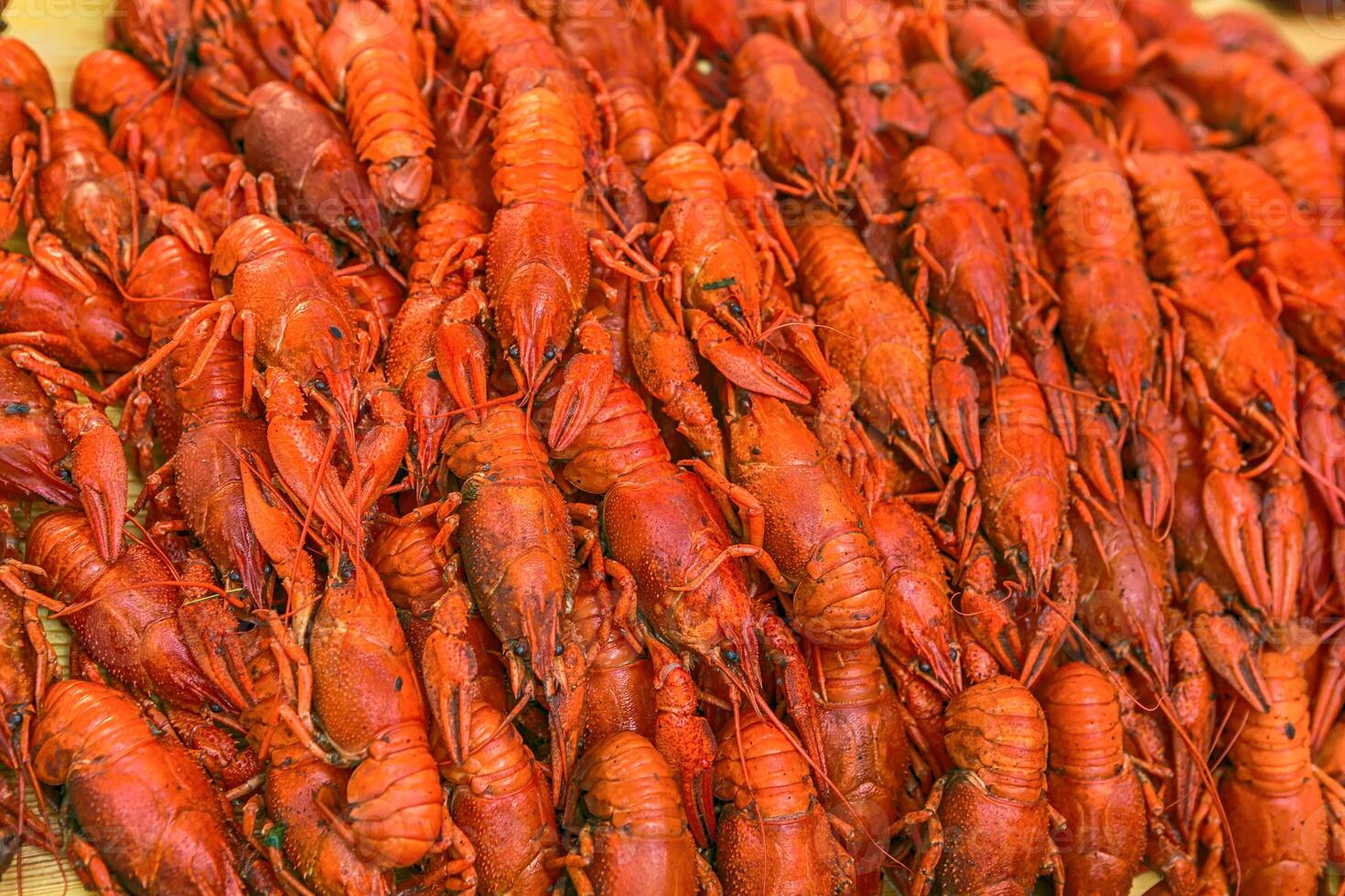 Fresh red boiled crawfish. Cooked crayfish with dill. Beer snack. Crayfish to beer. photo