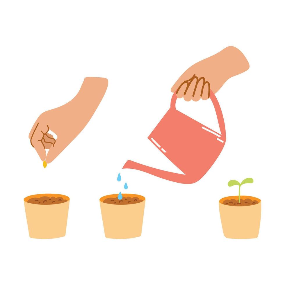 Stages of planting seed. Hand drawn illustration of gardening, watering, agriculture process vector