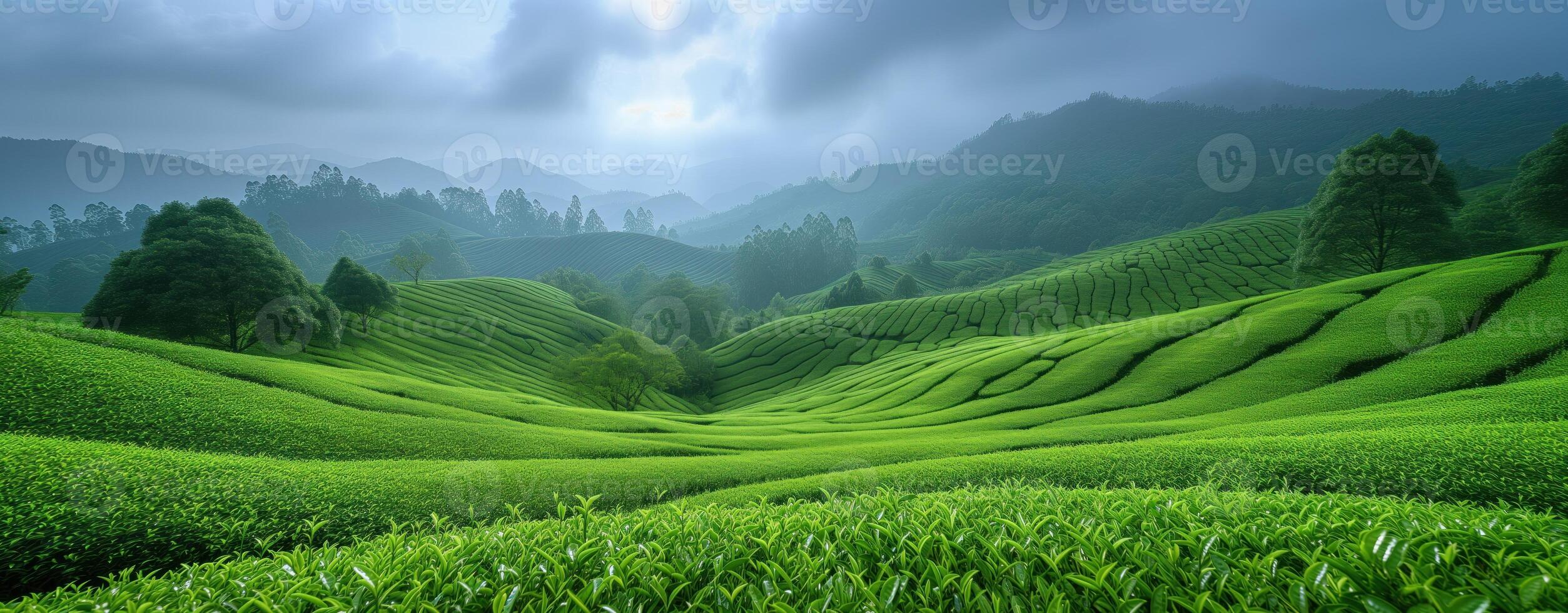 ai generado té plantación verde paisaje en el montañas foto