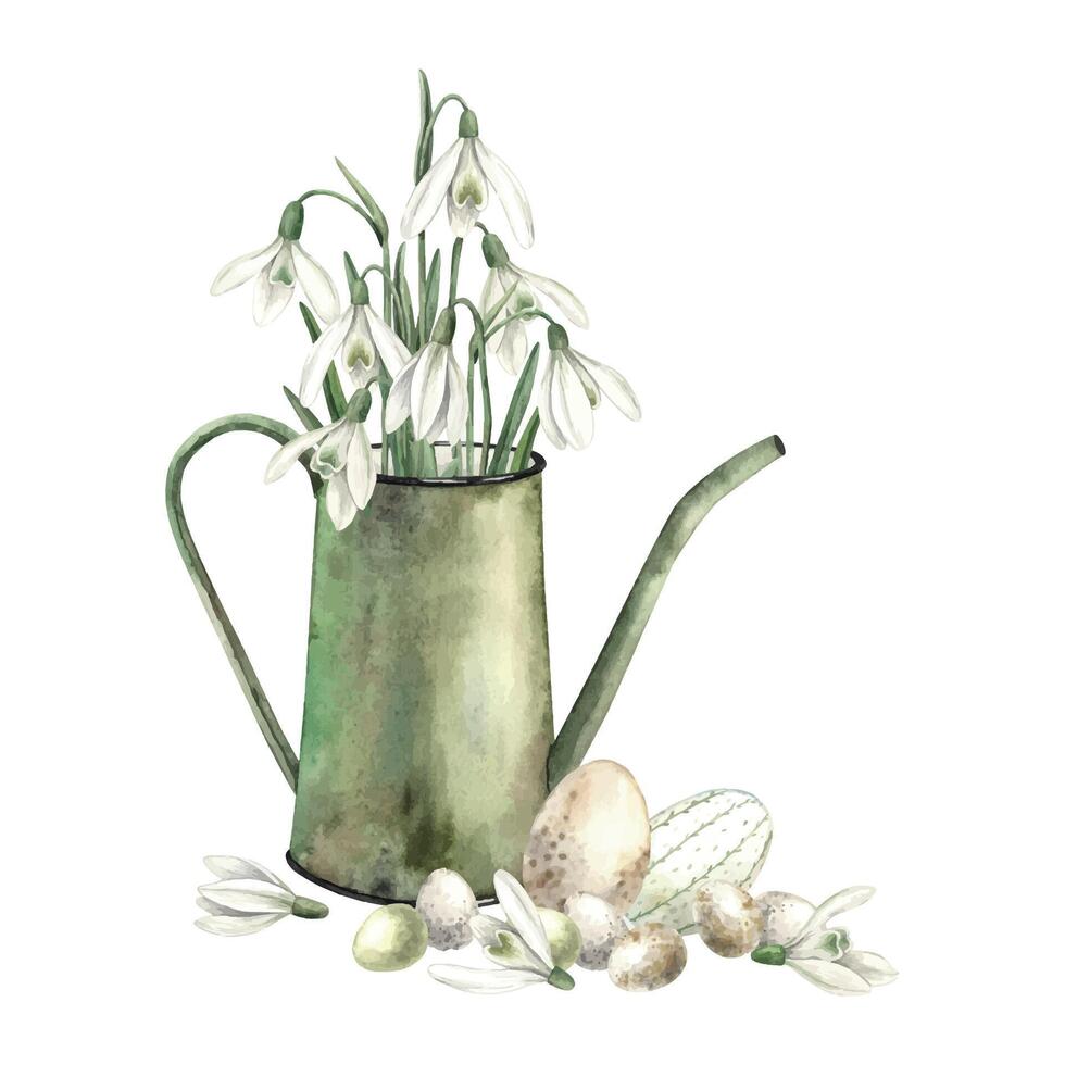 Watercolor Easter composition with watering can, eggs and snowdrops. Drawing on isolated background for greeting cards, invitations, happy holidays, posters, fabric, labels vector
