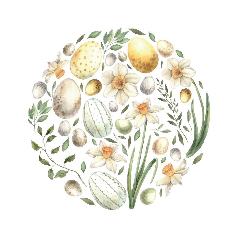 Watercolor round composition of daffodils, eggs, green plants. Drawing on isolated background for greeting cards, invitations, happy holidays, posters, design, print, label vector