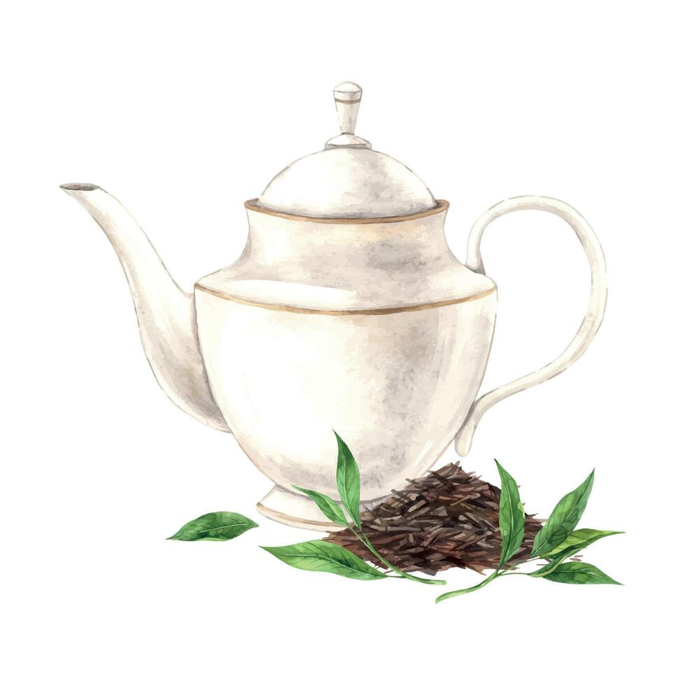 Vintage watercolor teapot with loose tea and green leaves. The illustration is hand drawn on an isolated background Drawing for menu design, packaging, poster, website, textile, invitations, brochure vector