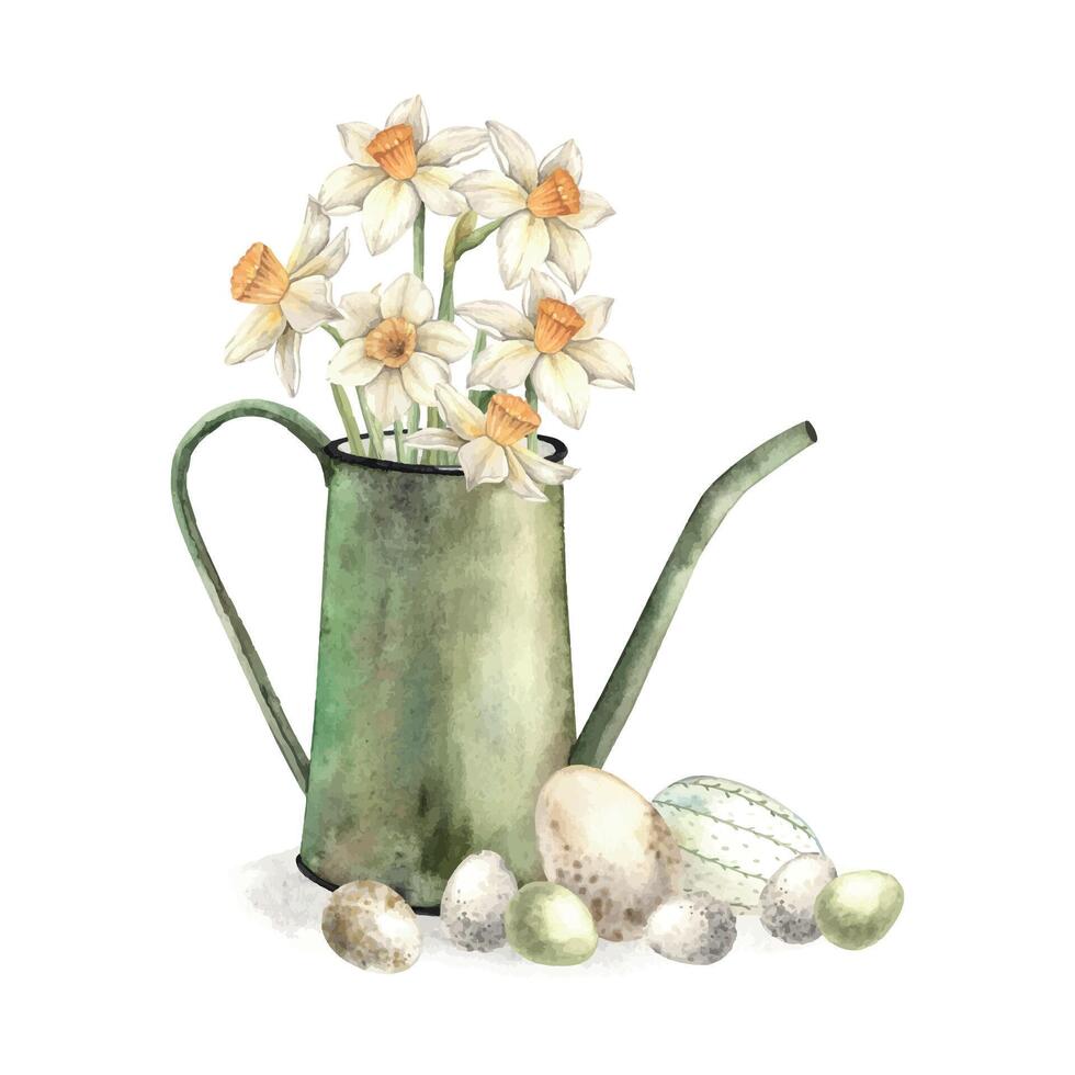 Watercolor Easter composition with green watering can, eggs and daffodils. Drawing on isolated background for greeting cards, invitations, happy holidays, posters, fabric, labels vector