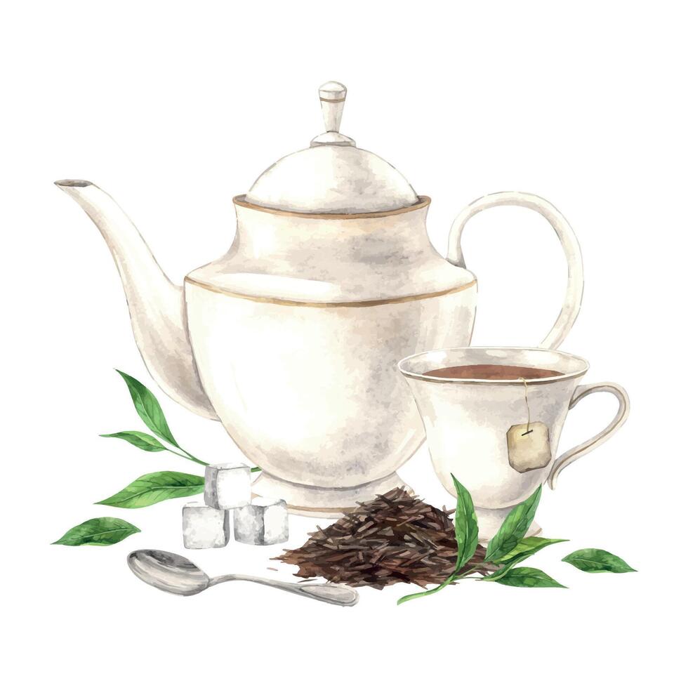 Watercolor composition of a teapot with loose tea and green leaves, mugs and spoons. The illustration is hand drawn on an isolated background Drawing for menu design, packaging, poster website textile vector