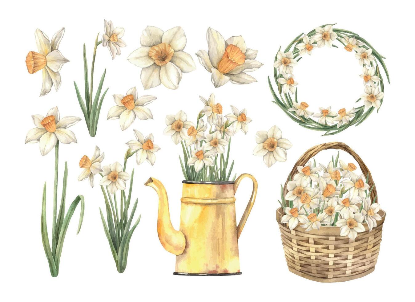 Watercolor set with daffodils, wicker basket, yellow watering can with flowers, wreath. Hand drawn illustrations on isolated background for greeting cards, invitations, happy holidays, posters vector