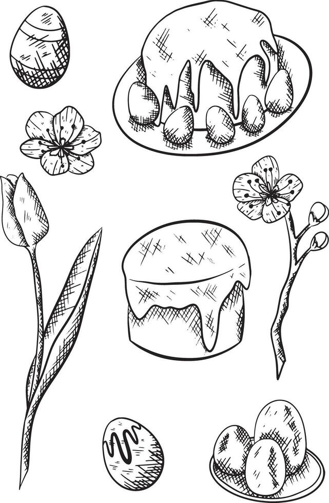 Spring set of easter elements. Black ink outline hand drawn eggs, tulip, sakura and easter cakes vector